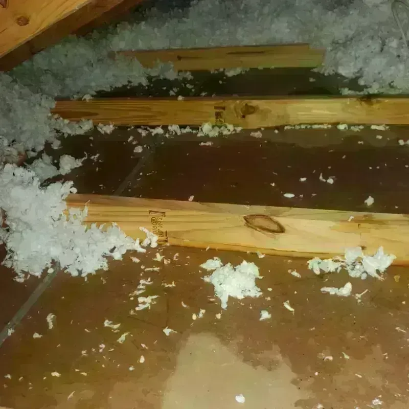 Attic Water Damage in Georgetown, PA